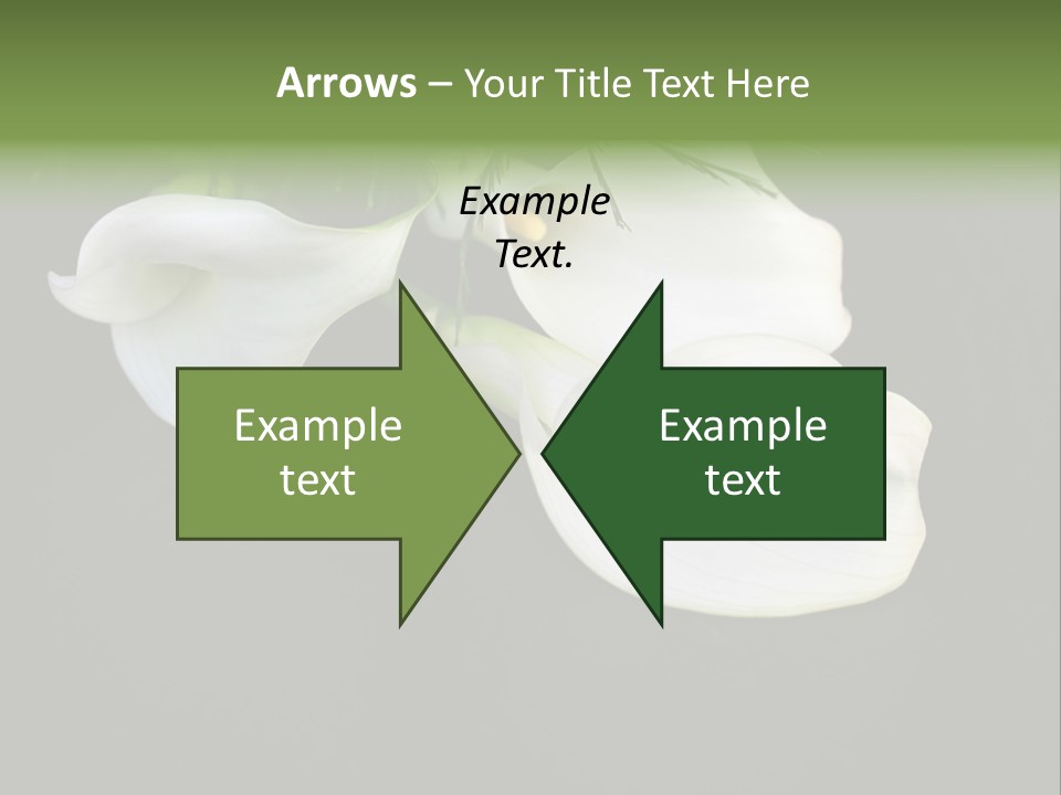 Callas Pflanze Weiss PowerPoint Template