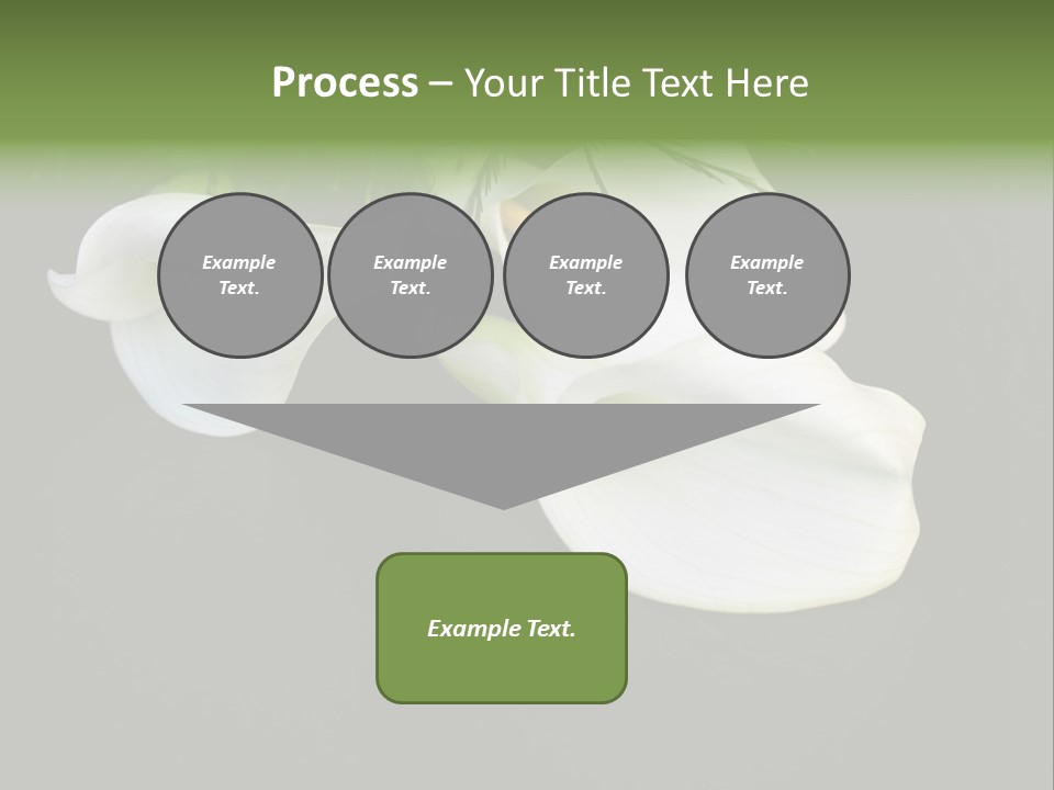 Callas Pflanze Weiss PowerPoint Template