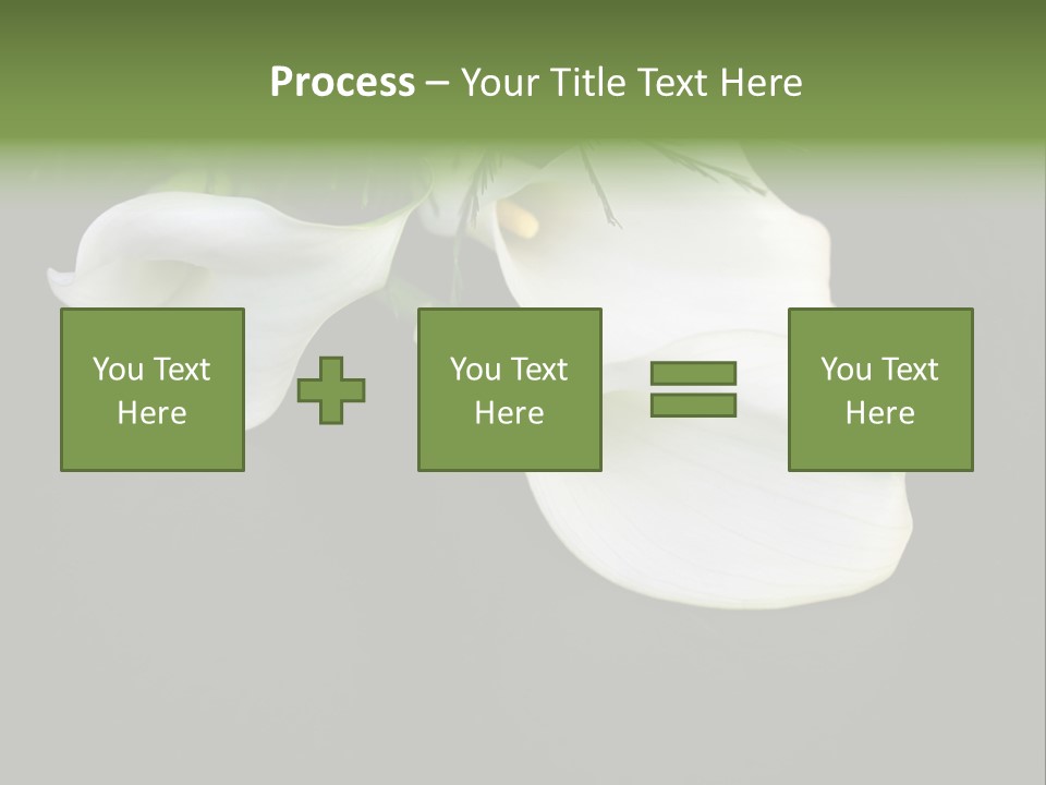 Callas Pflanze Weiss PowerPoint Template