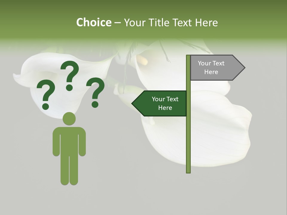 Callas Pflanze Weiss PowerPoint Template