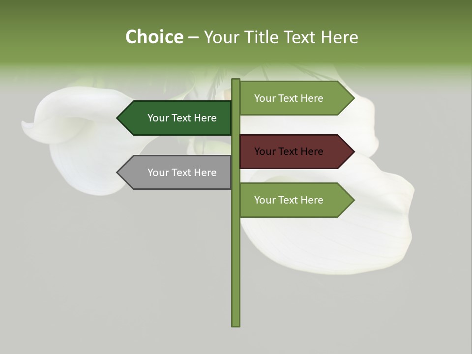 Callas Pflanze Weiss PowerPoint Template
