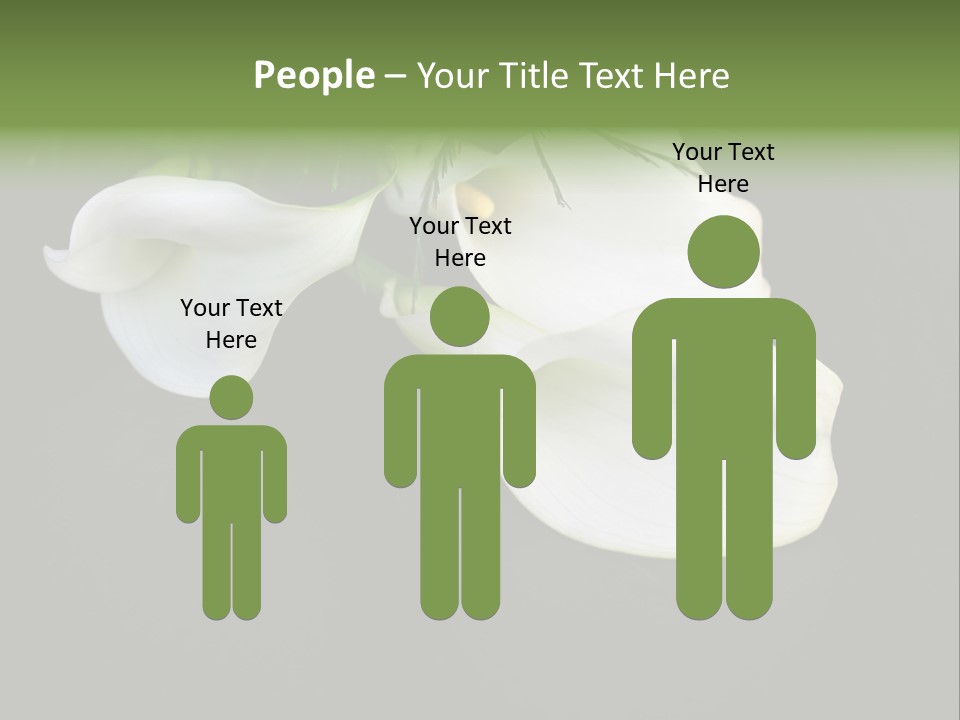 Callas Pflanze Weiss PowerPoint Template