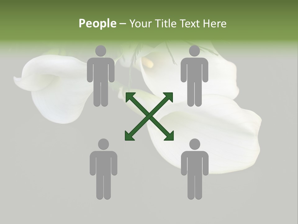 Callas Pflanze Weiss PowerPoint Template