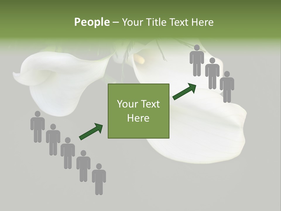 Callas Pflanze Weiss PowerPoint Template