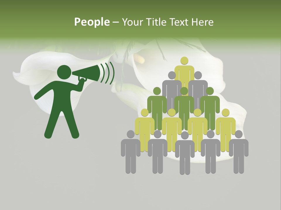 Callas Pflanze Weiss PowerPoint Template