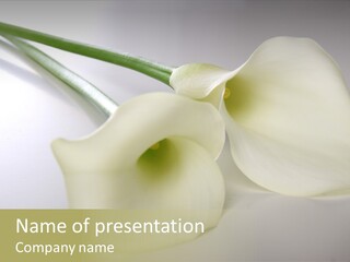 Blumengru Valentinsgru Elegant PowerPoint Template