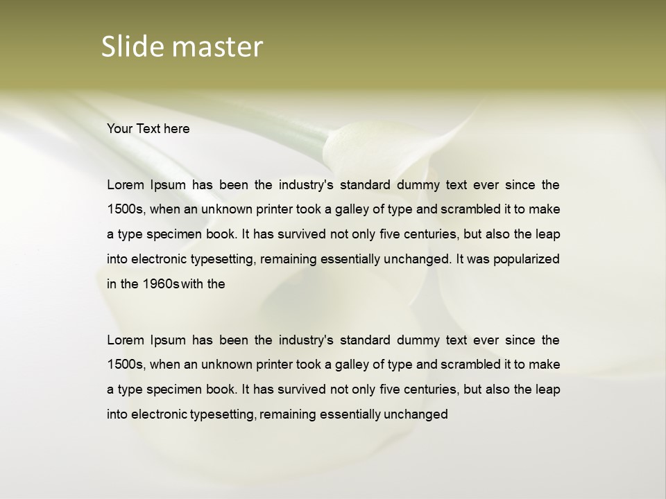 Blumengru Valentinsgru Elegant PowerPoint Template