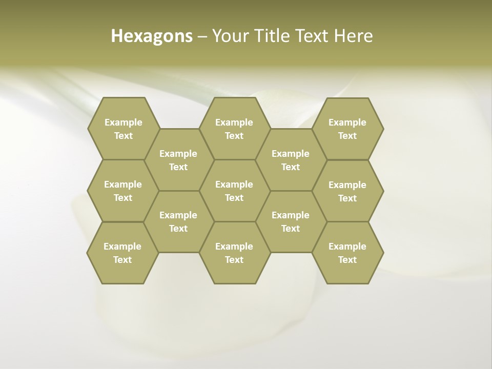 Blumengru Valentinsgru Elegant PowerPoint Template