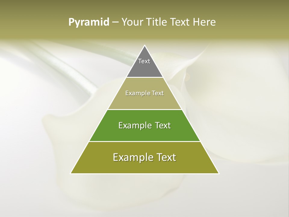 Blumengru Valentinsgru Elegant PowerPoint Template