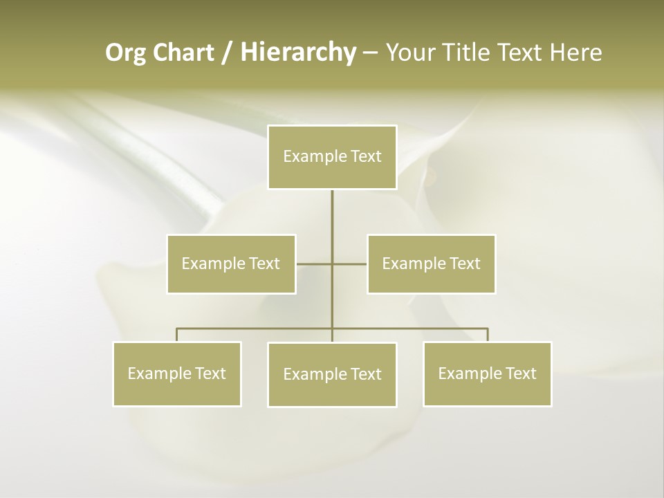 Blumengru Valentinsgru Elegant PowerPoint Template