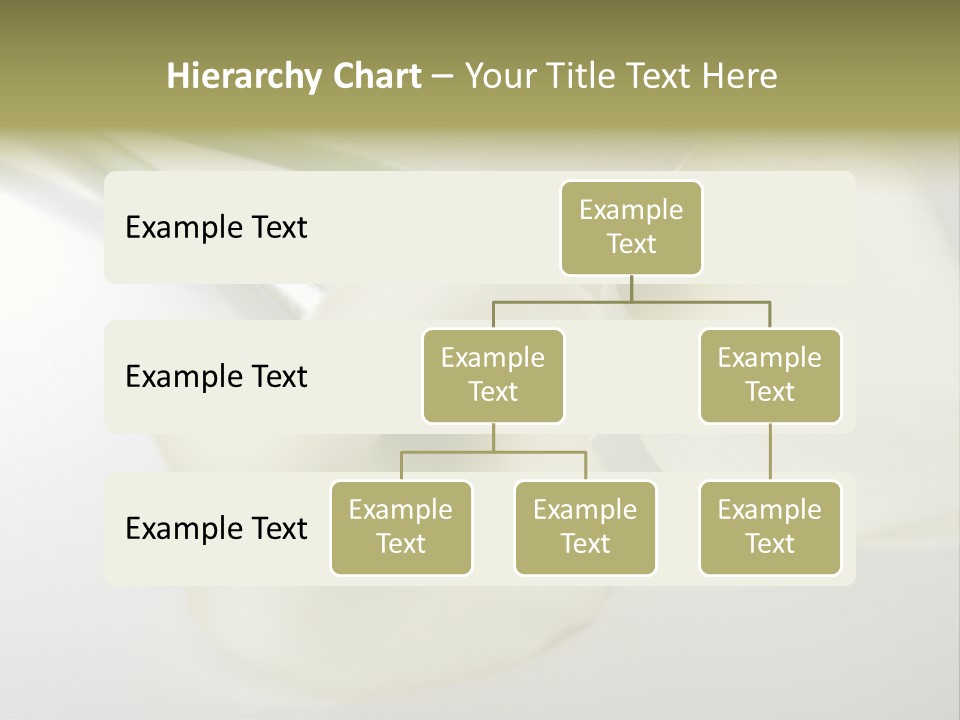 Blumengru Valentinsgru Elegant PowerPoint Template