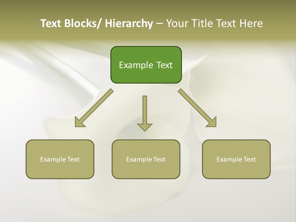 Blumengru Valentinsgru Elegant PowerPoint Template