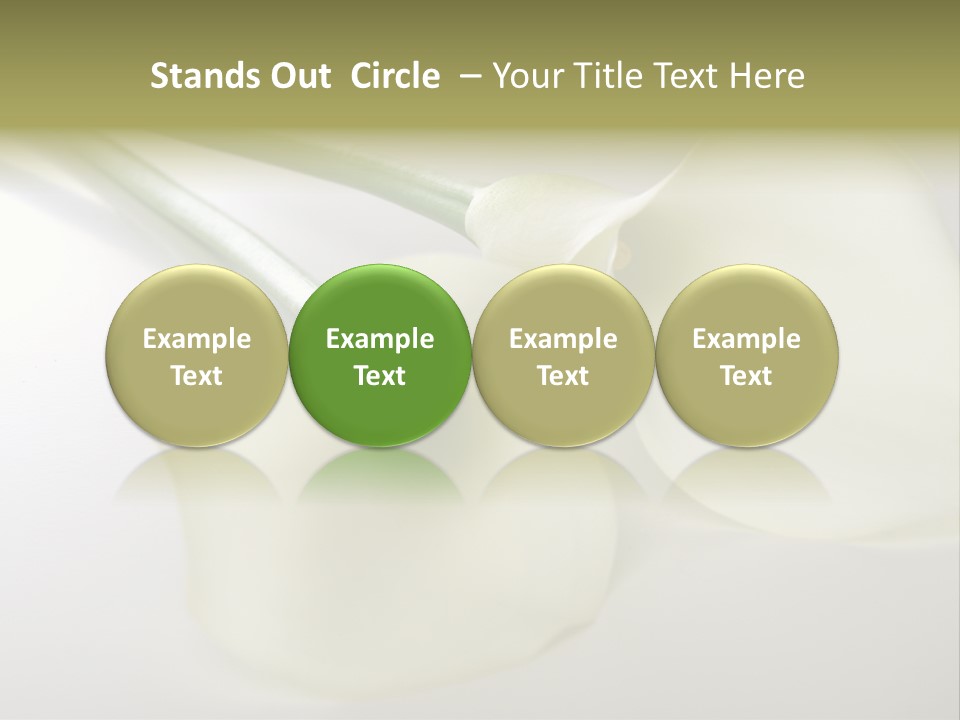 Blumengru Valentinsgru Elegant PowerPoint Template