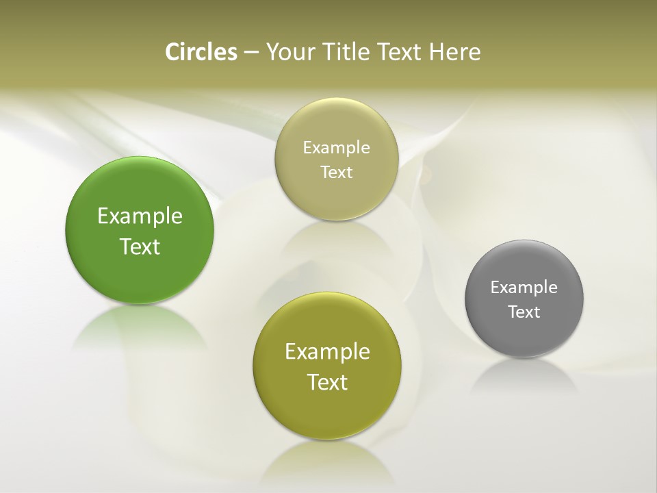 Blumengru Valentinsgru Elegant PowerPoint Template