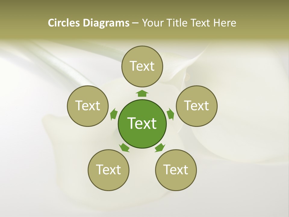 Blumengru Valentinsgru Elegant PowerPoint Template