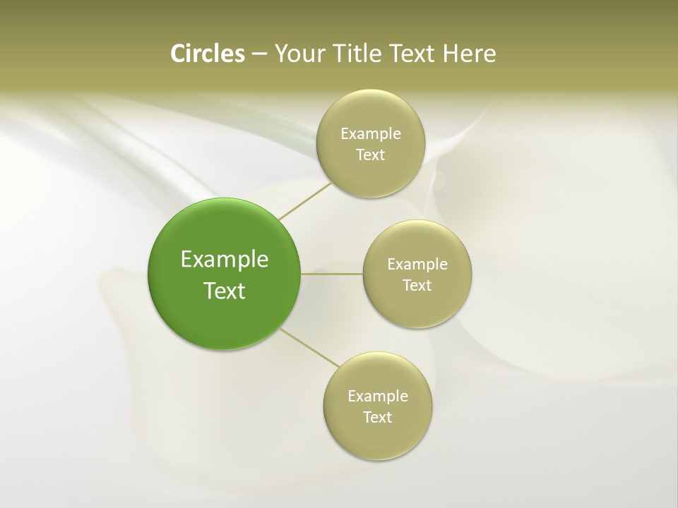 Blumengru Valentinsgru Elegant PowerPoint Template