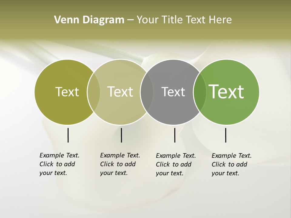 Blumengru Valentinsgru Elegant PowerPoint Template