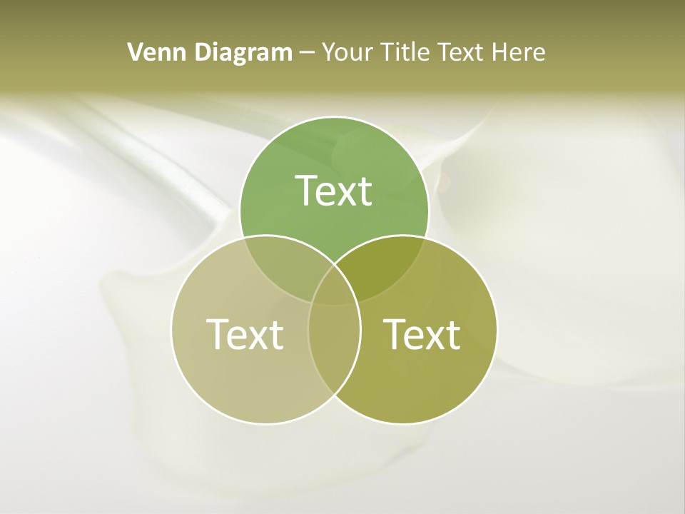 Blumengru Valentinsgru Elegant PowerPoint Template