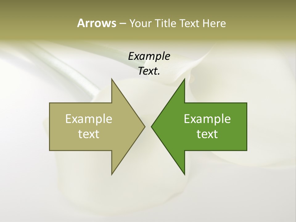 Blumengru Valentinsgru Elegant PowerPoint Template