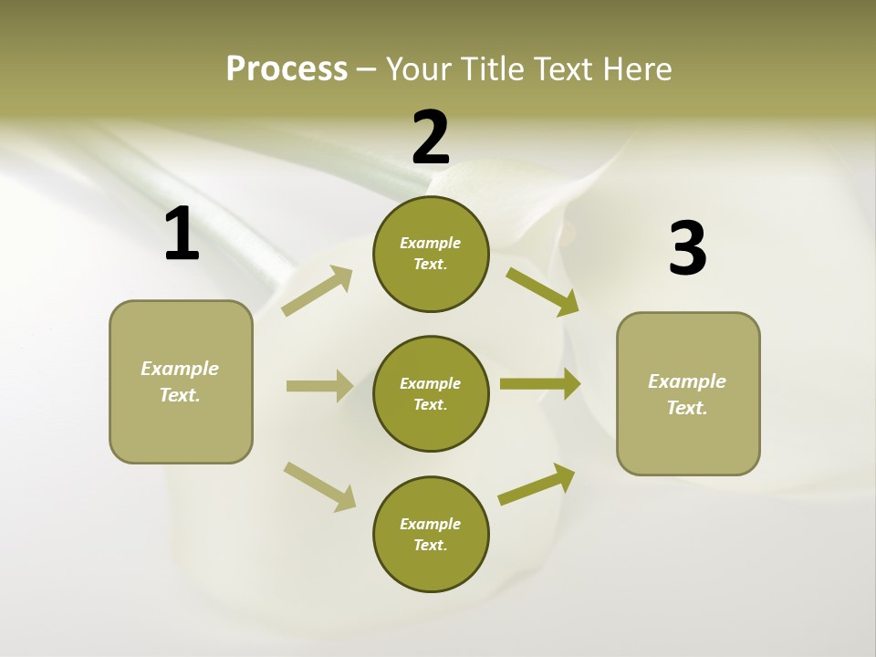 Blumengru Valentinsgru Elegant PowerPoint Template