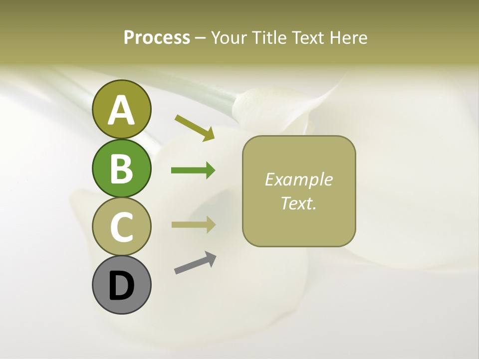 Blumengru Valentinsgru Elegant PowerPoint Template