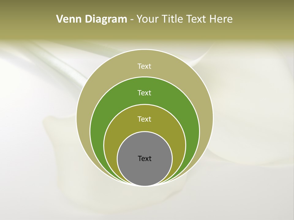 Blumengru Valentinsgru Elegant PowerPoint Template