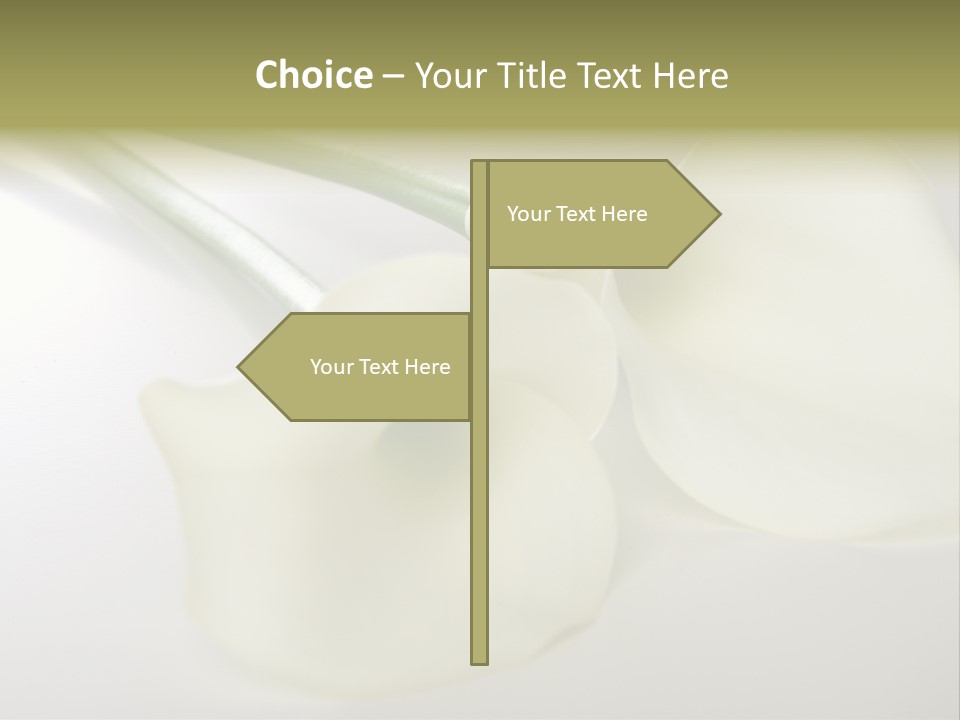 Blumengru Valentinsgru Elegant PowerPoint Template