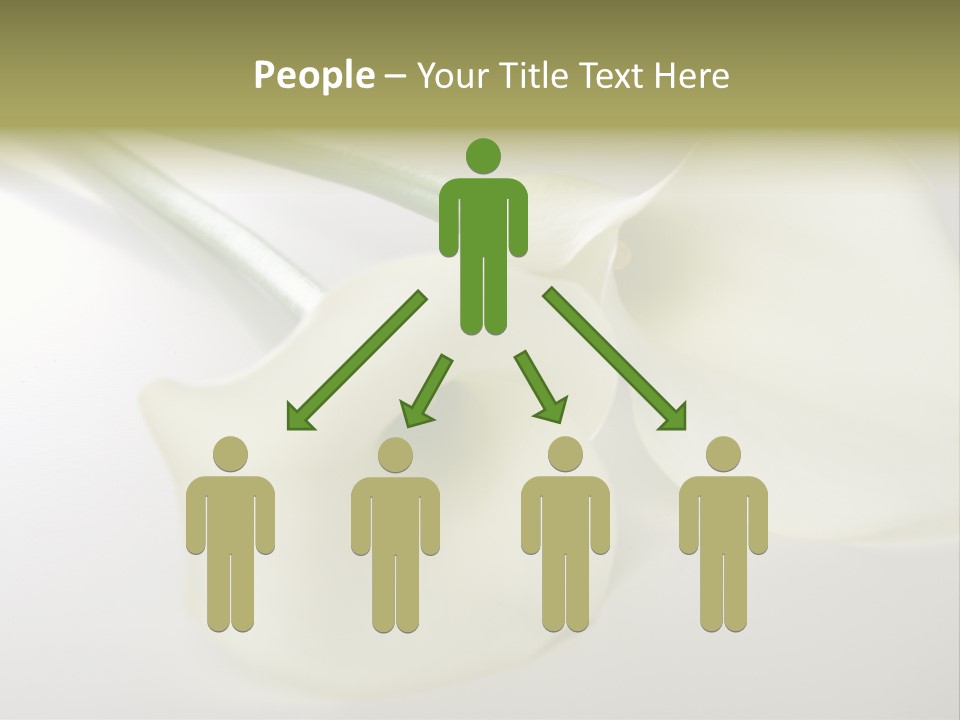 Blumengru Valentinsgru Elegant PowerPoint Template