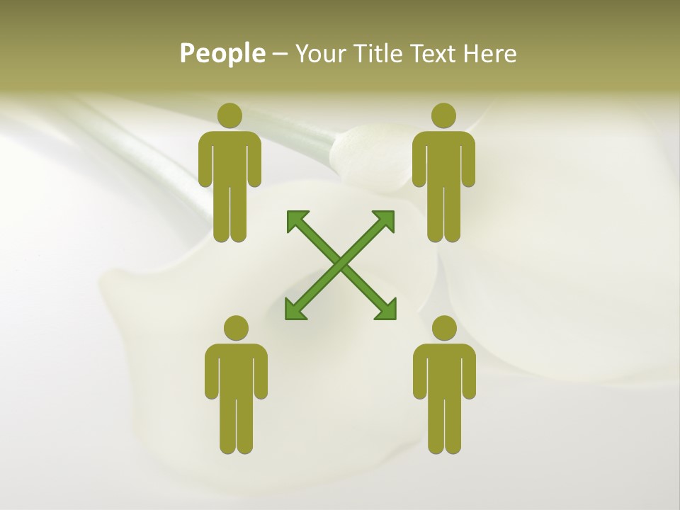 Blumengru Valentinsgru Elegant PowerPoint Template