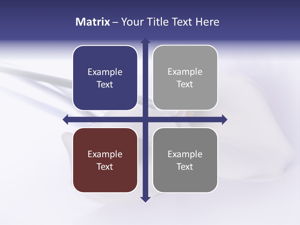 Liebe Formen Zantedeschia Aethiopica PowerPoint Template
