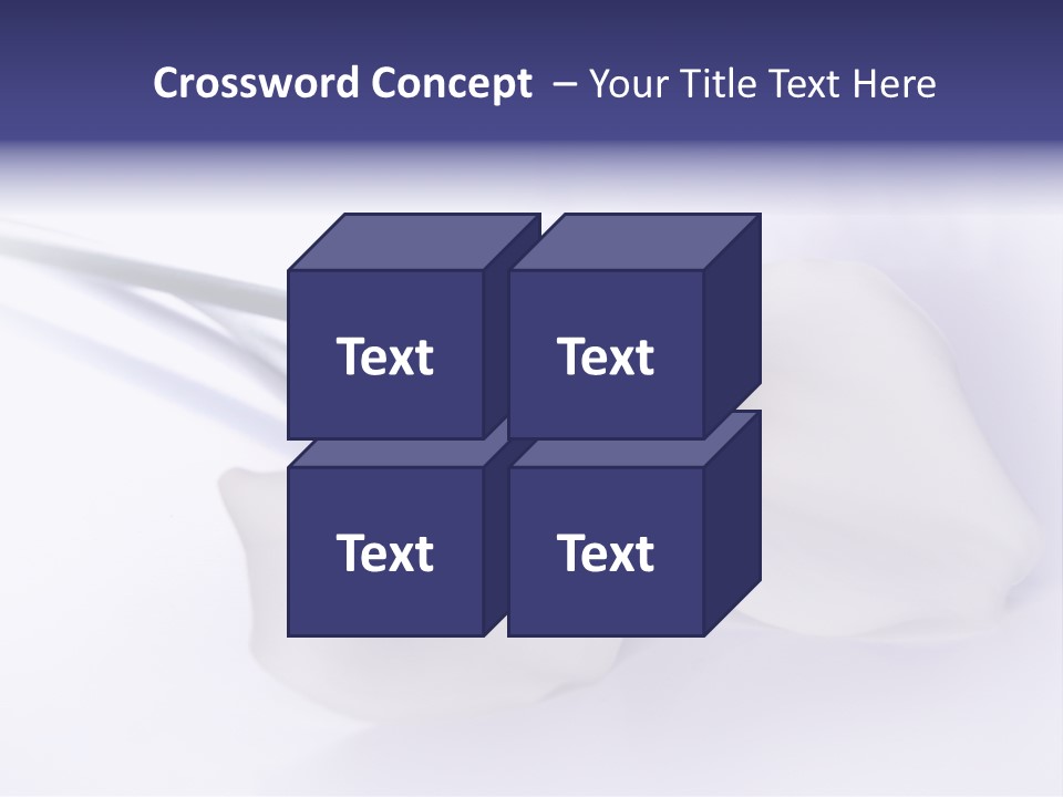 Liebe Formen Zantedeschia Aethiopica PowerPoint Template