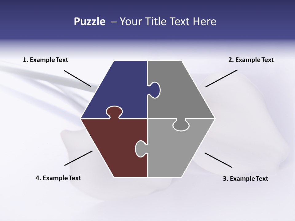 Liebe Formen Zantedeschia Aethiopica PowerPoint Template