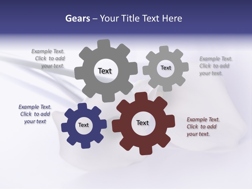 Liebe Formen Zantedeschia Aethiopica PowerPoint Template