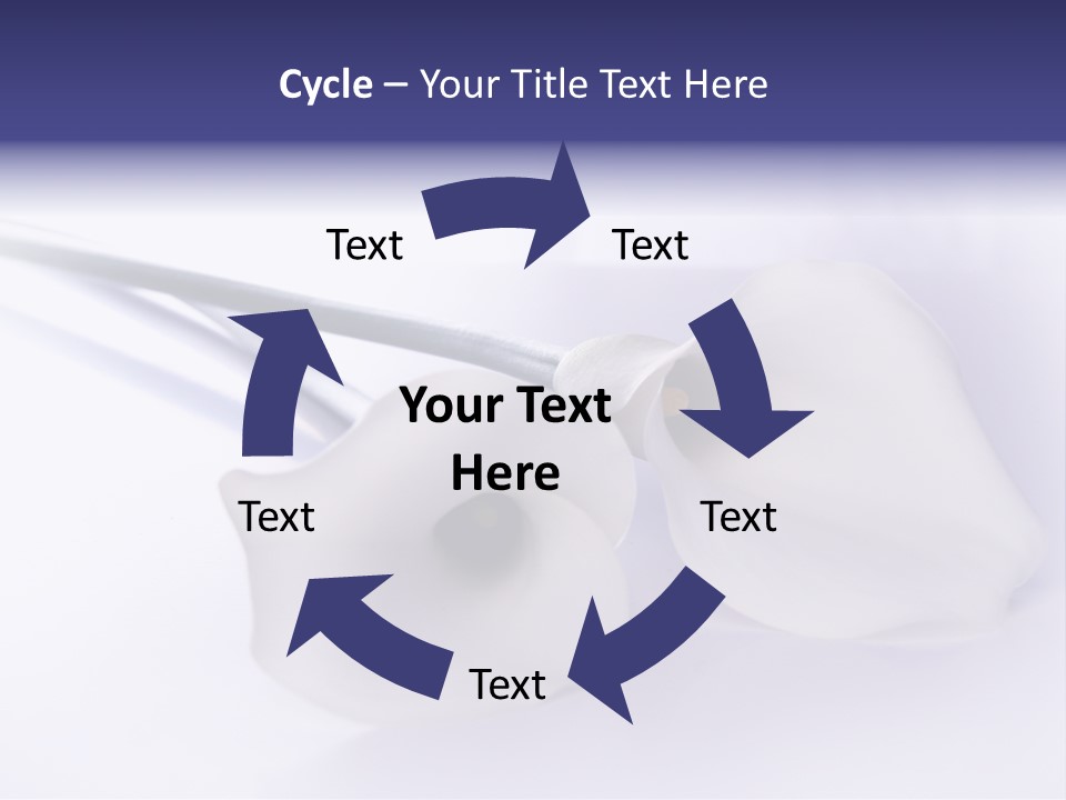 Liebe Formen Zantedeschia Aethiopica PowerPoint Template