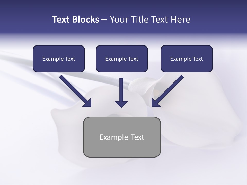 Liebe Formen Zantedeschia Aethiopica PowerPoint Template