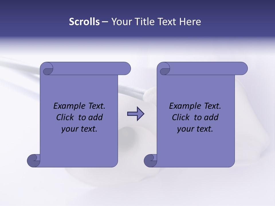 Liebe Formen Zantedeschia Aethiopica PowerPoint Template