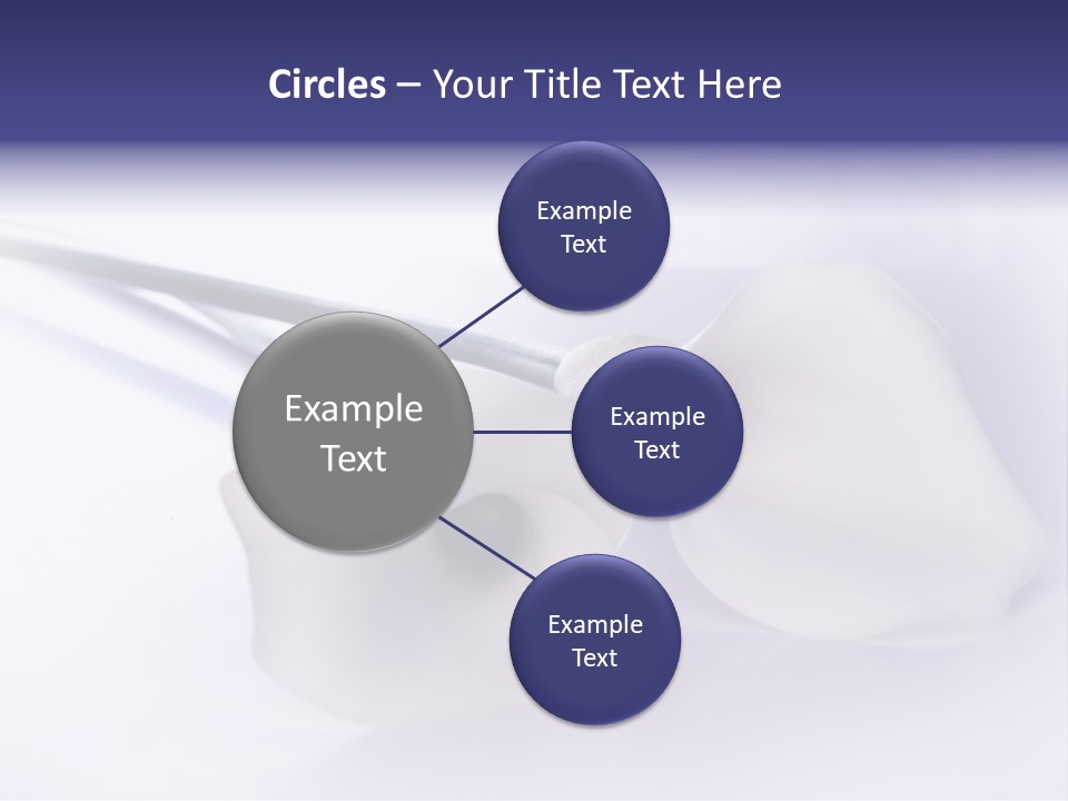 Liebe Formen Zantedeschia Aethiopica PowerPoint Template