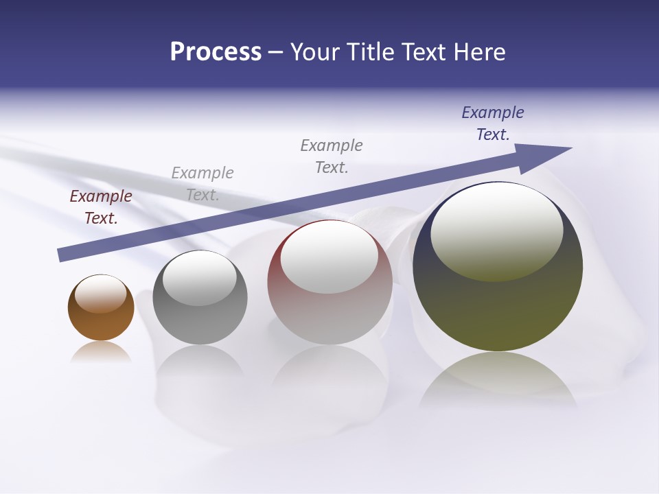 Liebe Formen Zantedeschia Aethiopica PowerPoint Template