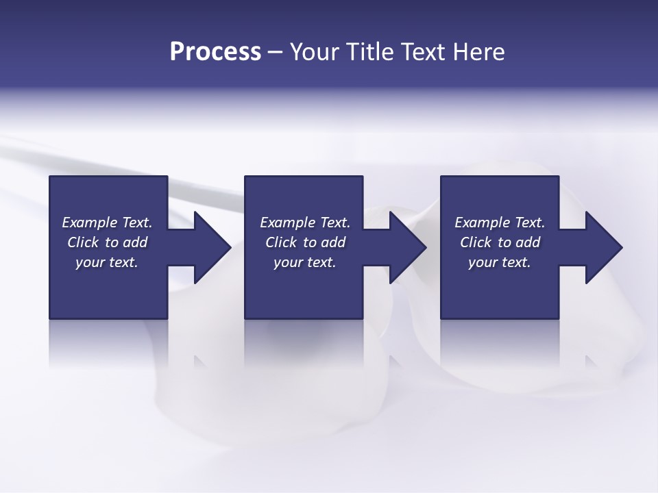 Liebe Formen Zantedeschia Aethiopica PowerPoint Template