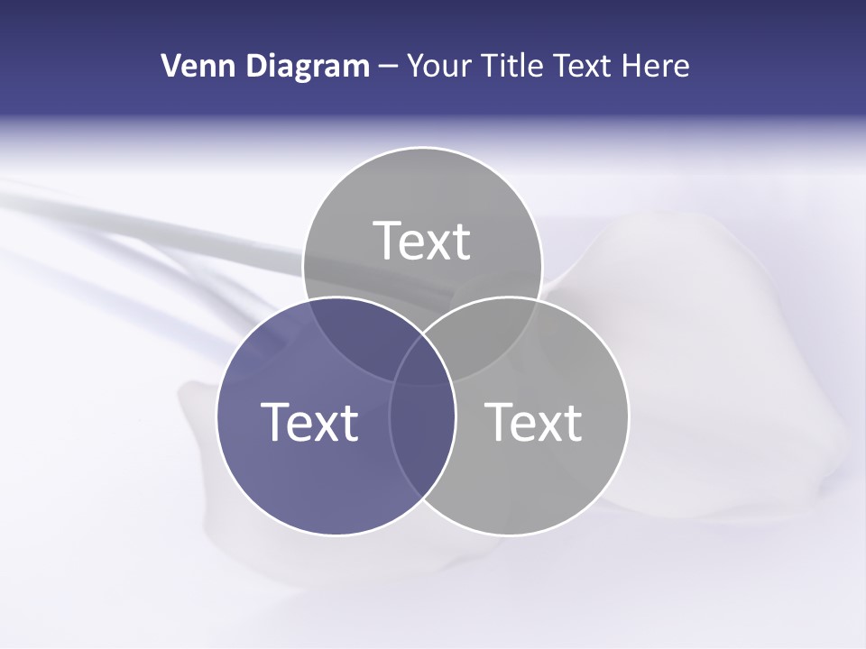 Liebe Formen Zantedeschia Aethiopica PowerPoint Template