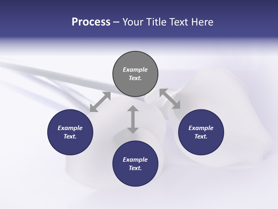 Liebe Formen Zantedeschia Aethiopica PowerPoint Template