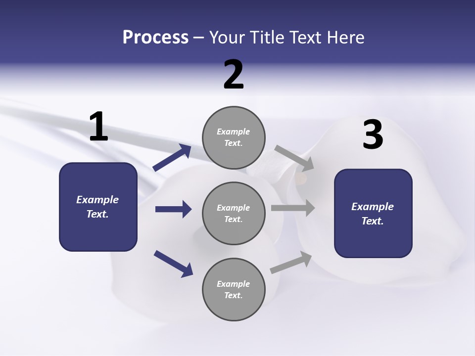 Liebe Formen Zantedeschia Aethiopica PowerPoint Template
