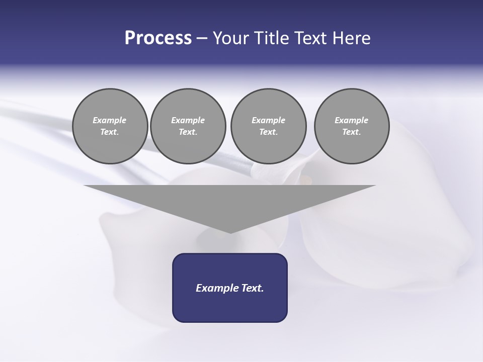 Liebe Formen Zantedeschia Aethiopica PowerPoint Template