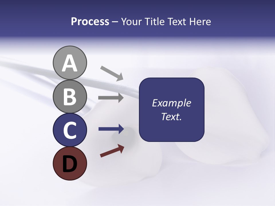 Liebe Formen Zantedeschia Aethiopica PowerPoint Template