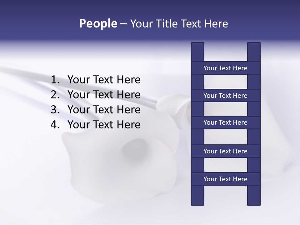 Liebe Formen Zantedeschia Aethiopica PowerPoint Template