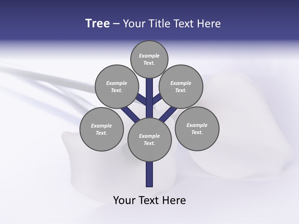 Liebe Formen Zantedeschia Aethiopica PowerPoint Template