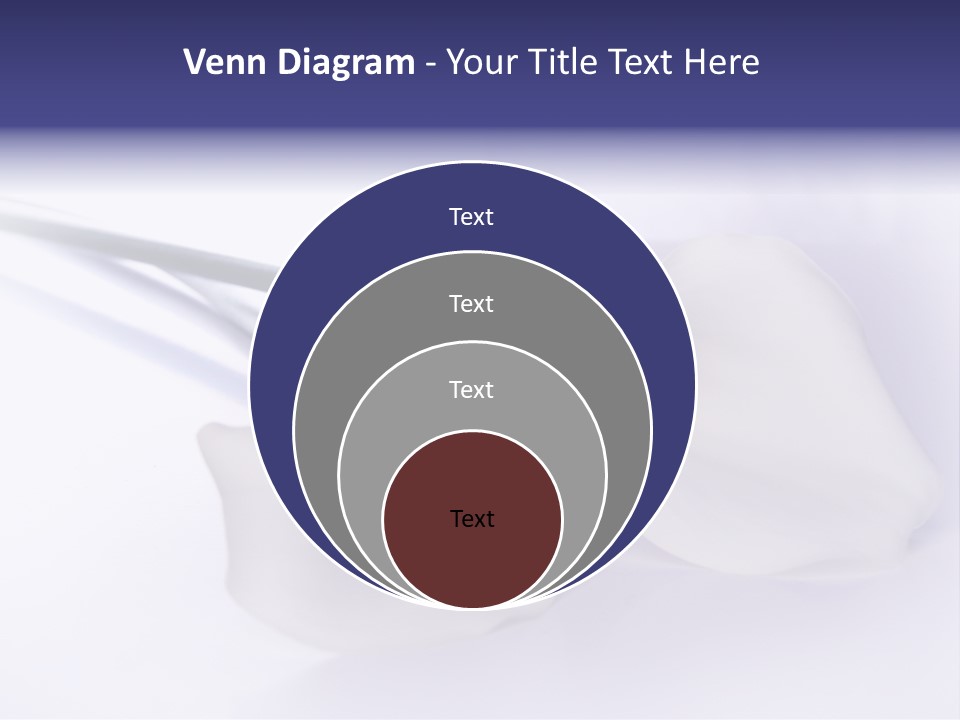 Liebe Formen Zantedeschia Aethiopica PowerPoint Template