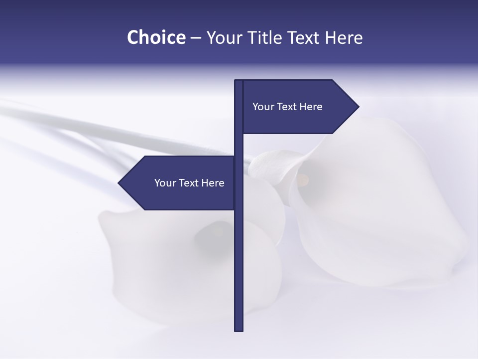 Liebe Formen Zantedeschia Aethiopica PowerPoint Template