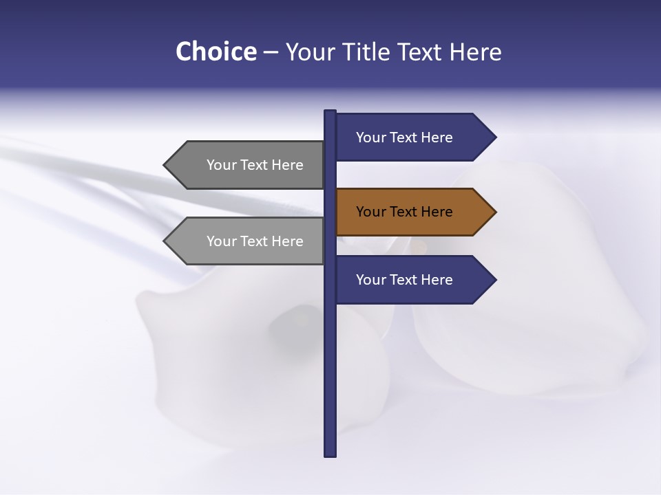 Liebe Formen Zantedeschia Aethiopica PowerPoint Template