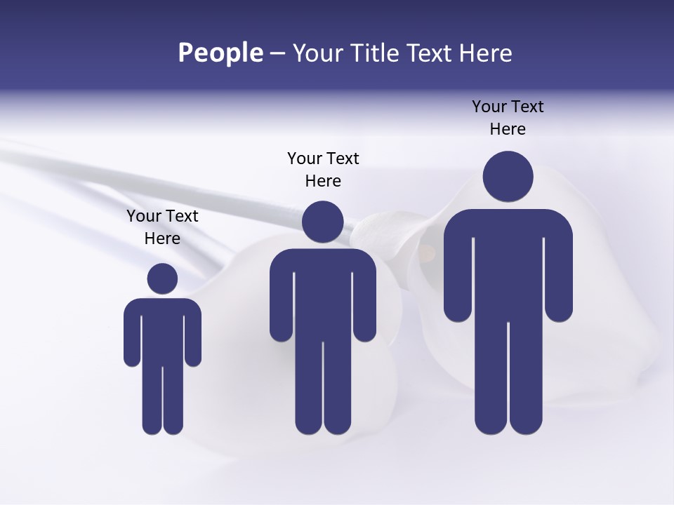 Liebe Formen Zantedeschia Aethiopica PowerPoint Template